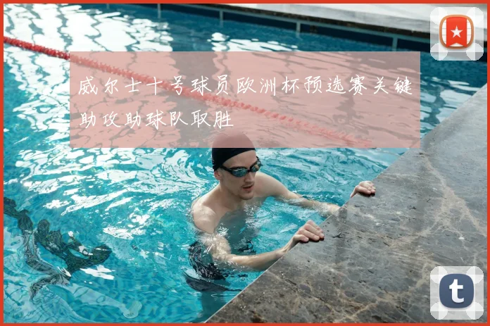 威尔士十号球员欧洲杯预选赛关键助攻助球队取胜