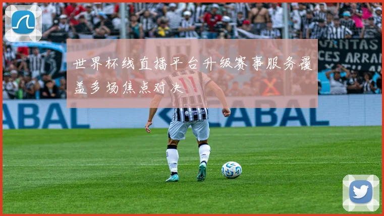 世界杯线直播平台升级赛事服务覆盖多场焦点对决