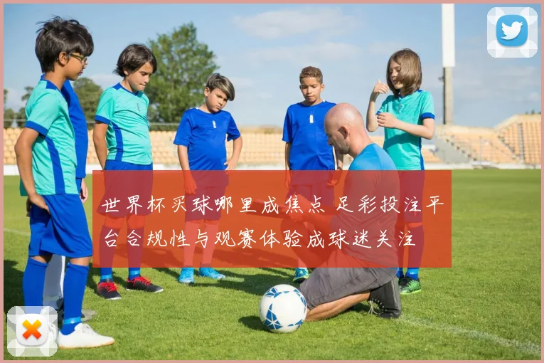 世界杯买球哪里成焦点 足彩投注平台合规性与观赛体验成球迷关注