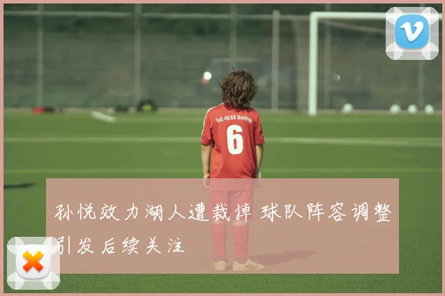 孙悦效力湖人遭裁掉 球队阵容调整引发后续关注