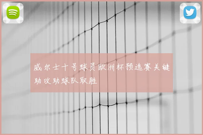 威尔士十号球员欧洲杯预选赛关键助攻助球队取胜