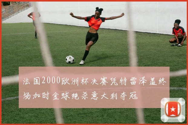 法国2000欧洲杯决赛凭特雷泽盖终场加时金球绝杀意大利夺冠