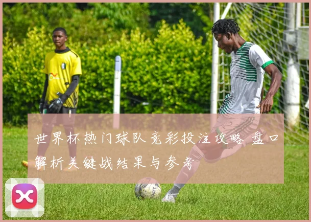 世界杯热门球队竞彩投注攻略 盘口解析关键战结果与参考