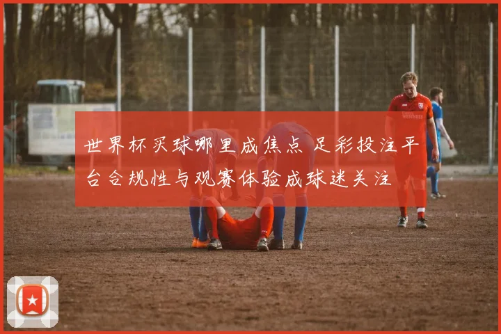 世界杯买球哪里成焦点 足彩投注平台合规性与观赛体验成球迷关注